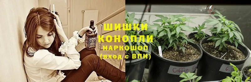 Канабис Ganja  где купить наркоту  Ладушкин 